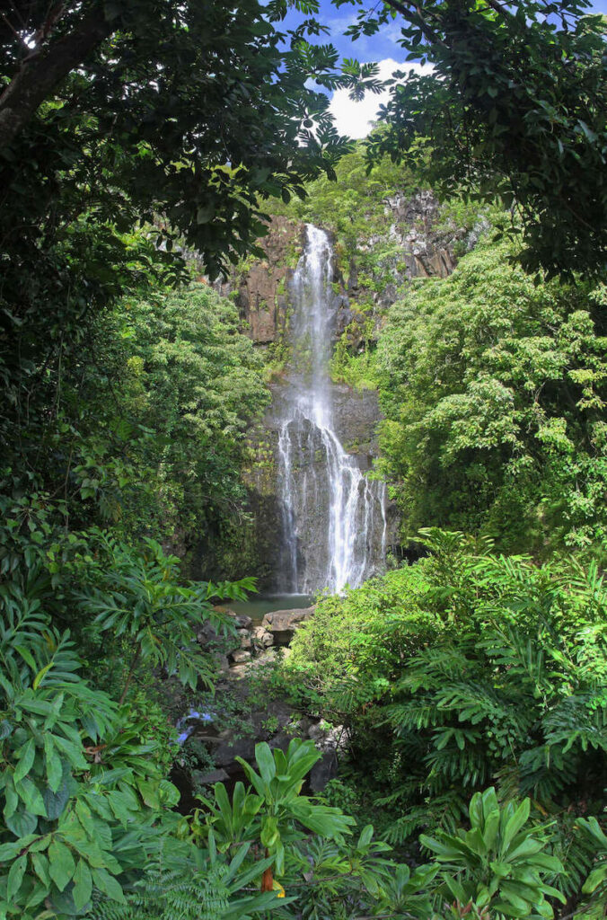 Image of a waterfall surrounded by ferns and other green plants on Maui.