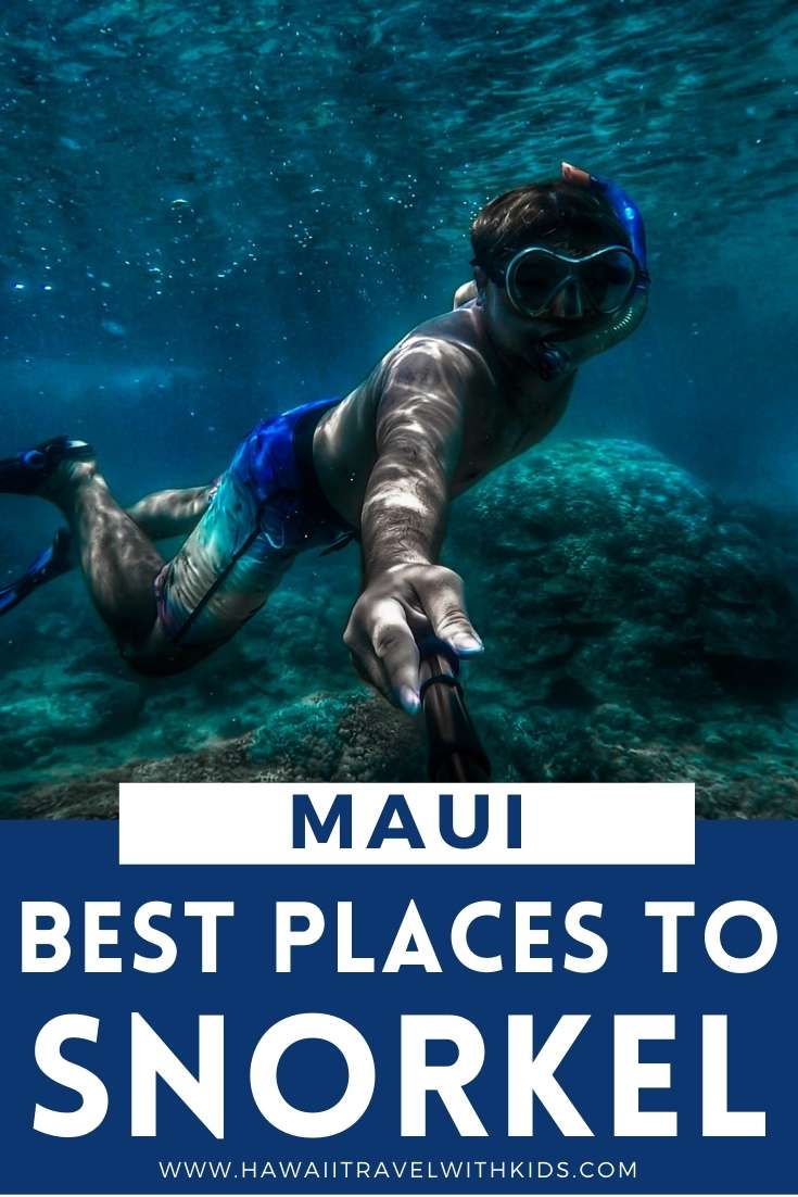 Best Snorkeling in Maui for Families (2023) Hawaii Travel with Kids