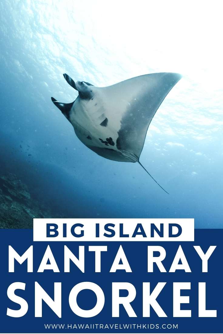 Big Island Manta Ray Snorkel Tour Review (2023)