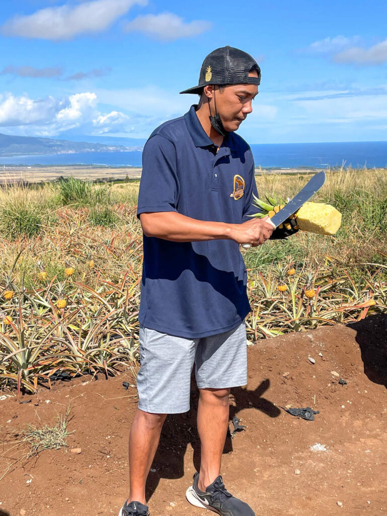 Image of a man slicing up a pineapple with a huge knife in the Maui Gold pineapple farm with the ocean in the background.