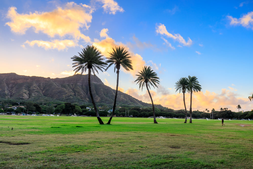 Image of Diamond Head crater and palm trees at sunrise on Oahu