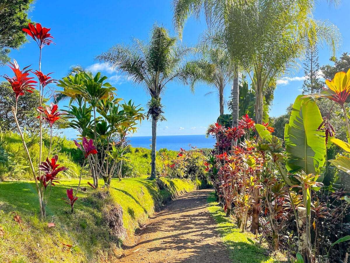 Check out this guide to the Garden of Eden, a popular Road to Hana stop, by top Hawaii blog Hawaii Travel with Kids. Image of a dirt path surrounded by palm trees and colorful tropical foliage