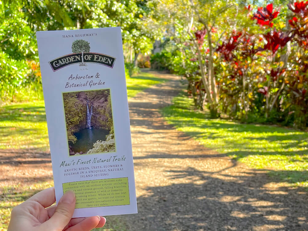 Image of the Garden of Eden Arboretum and Botanical Garden brochure in front of a winding dirt path surrounded by lush greenery.