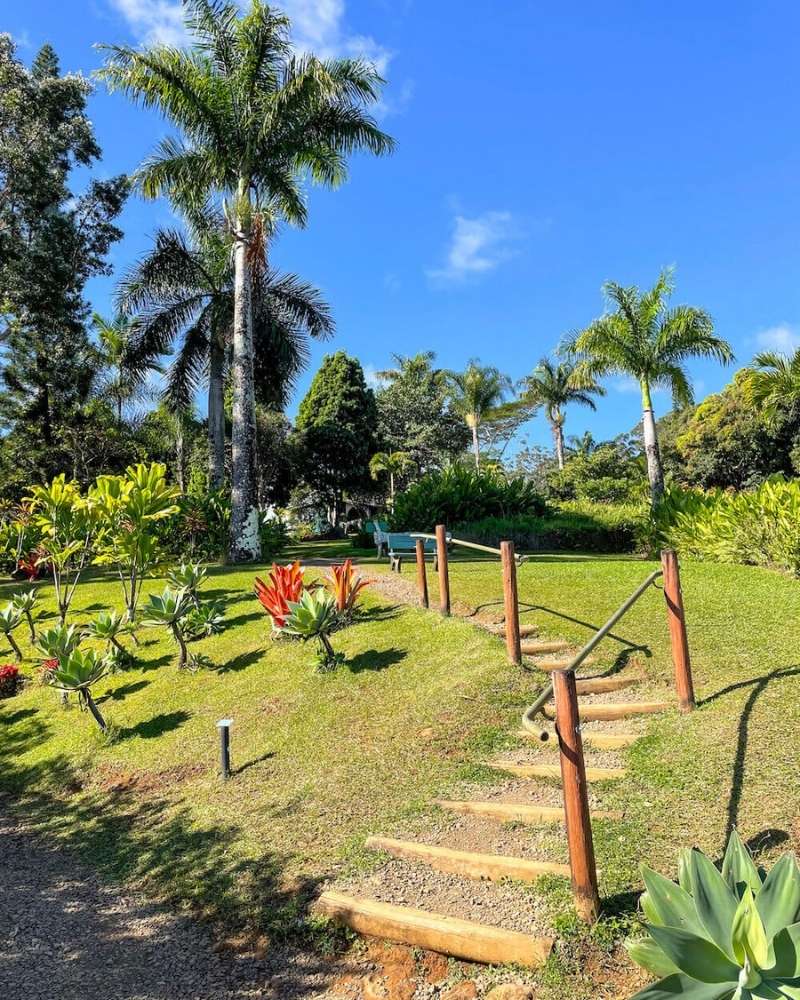 Image of some wood and dirt stairs with railings at the Garden of Eden botanical garden on Maui.