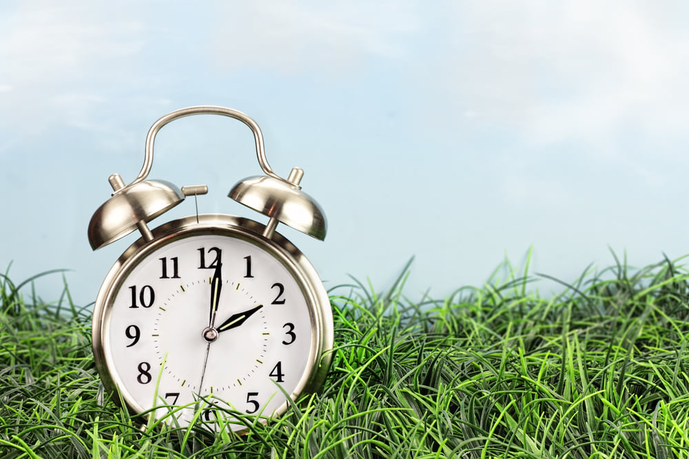 Image of a clock in some grass