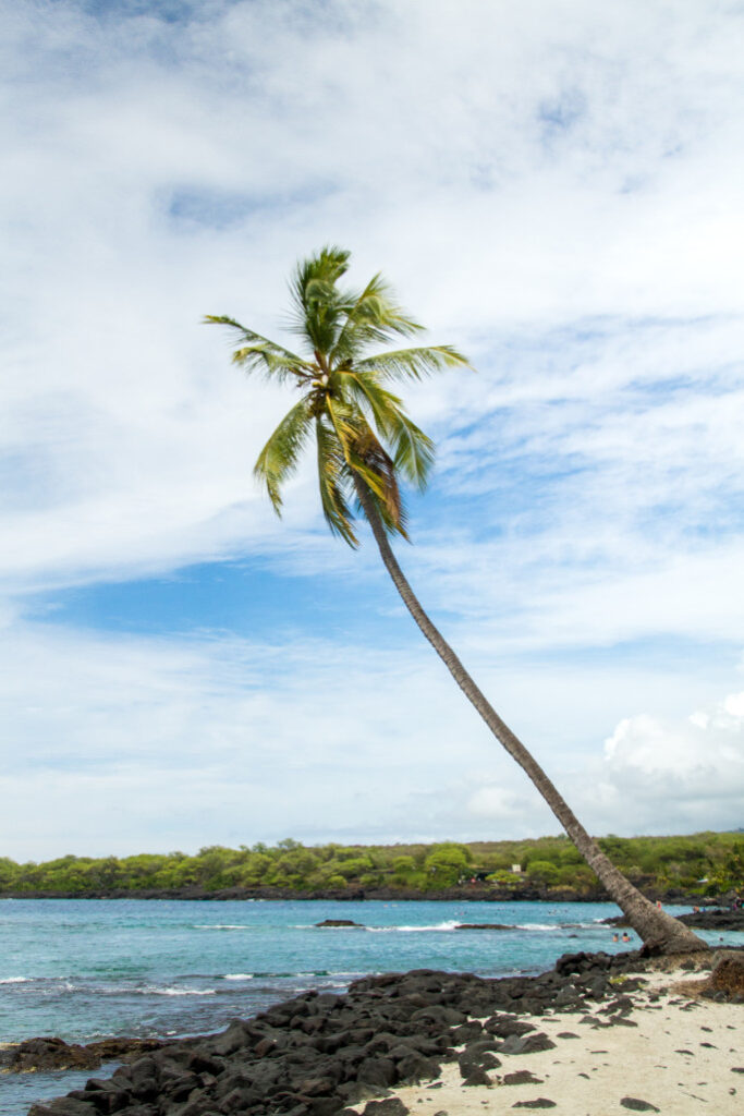 Image of Honaunau Bay on the Big ISland of Hawaii