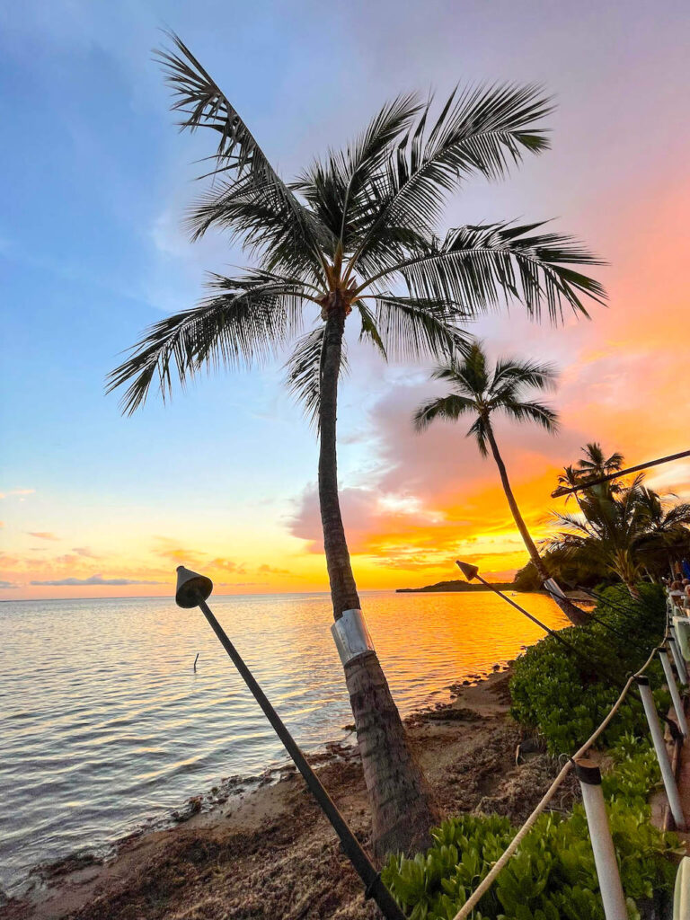 Image of the sunset along the beach on Molokai with palm trees and torches.