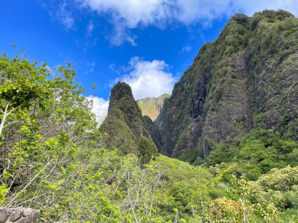 Find out whether it's worth visiting I'ao Needle on Maui with kids by top Hawaii blog Hawaii Travel with Kids. Image of a pointy mountain in Maui