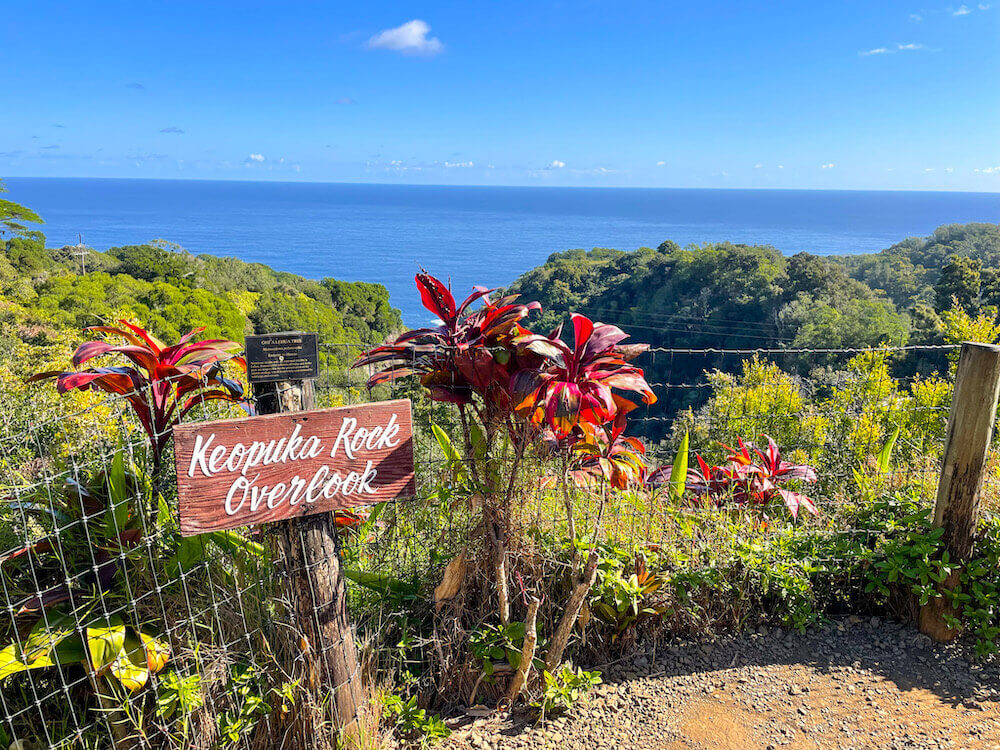 Garden Of Eden Maui | Fasci Garden