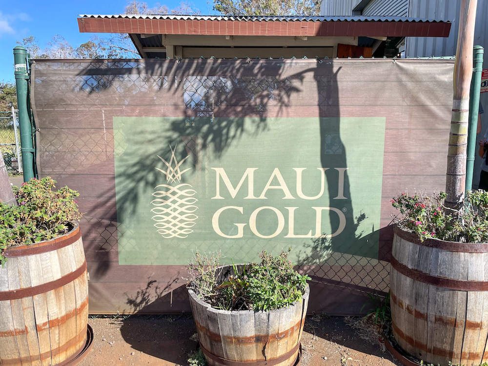 Image of the Maui Gold sign on a sunshield on a fence.