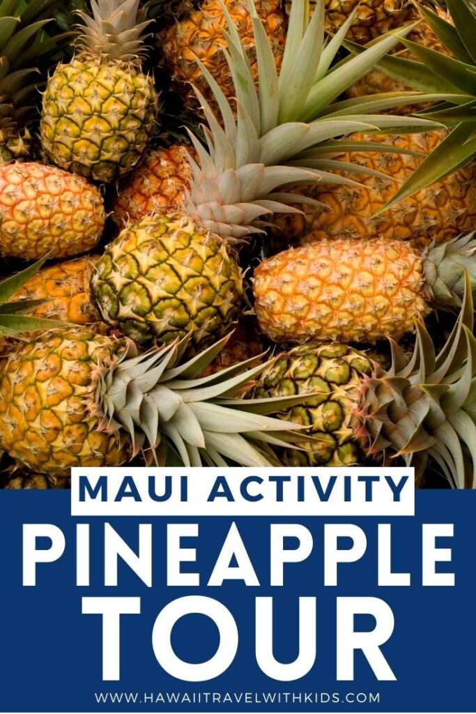 dole plantation tour maui