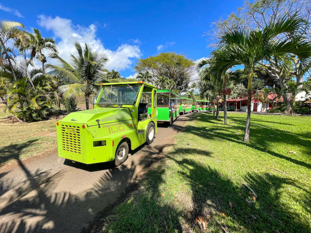 Find out what to do at Maui Tropical Plantation by top Hawaii blog Hawaii Travel with Kids. Image of a green motorized tram at a Maui botanical garden