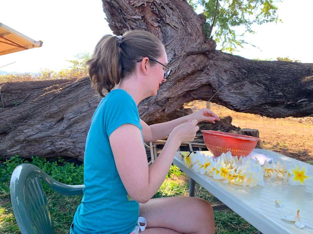Image of a woman stringing a plumeria lei in Hawaii.