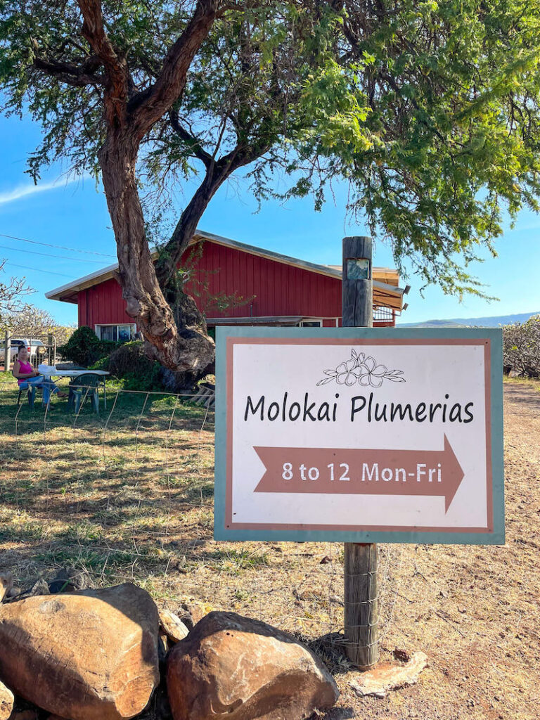 Image of the Molokai Plumerias sign in front of the building.