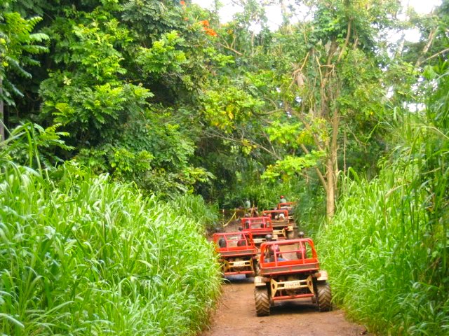 Image of red ATVs driving in the jungle on Kauai.