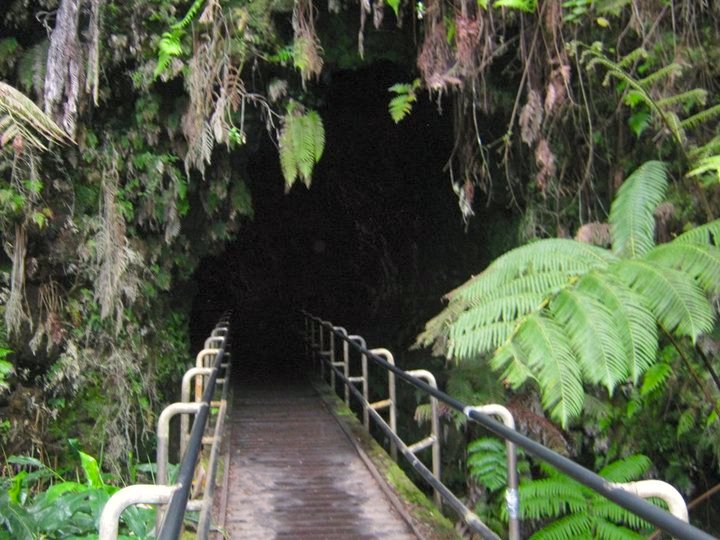 Image of a lava tube on the Big Island of Hawaii surrounded by ferns.