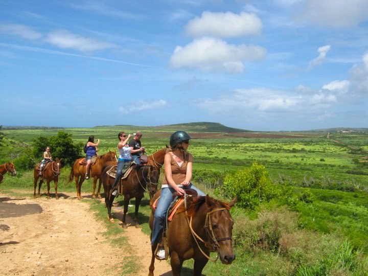 Image of people riding horses on Kauai as a Hawaii cruise excursion.