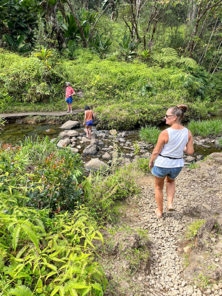 Image of people walking across a stream on Maui.