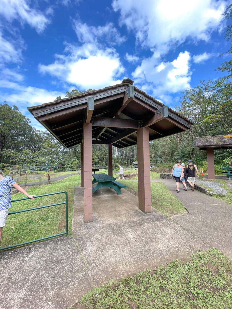 Image of a green picnic table with a shelter built above it.