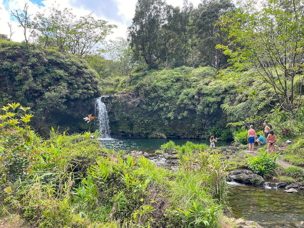 Image of people waiting on a path to swim in a waterfall on Maui.