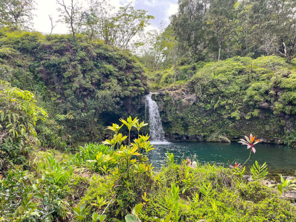 Find out whether or not Pua'a Ka'a Falls is one of the best Road to Hana stops for families by top Hawaii blog Hawaii Travel with Kids. Image of a Maui waterfall surrounded by lush greenery.