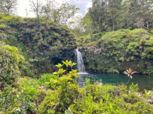 Find out whether or not Pua'a Ka'a Falls is one of the best Road to Hana stops for families by top Hawaii blog Hawaii Travel with Kids. Image of a Maui waterfall surrounded by lush greenery.
