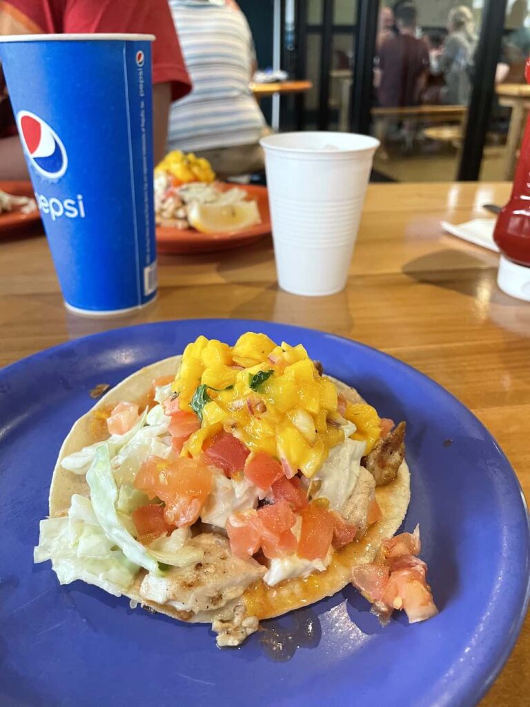 Image of a fish taco with cabbage, tomatoes, and mango on top.