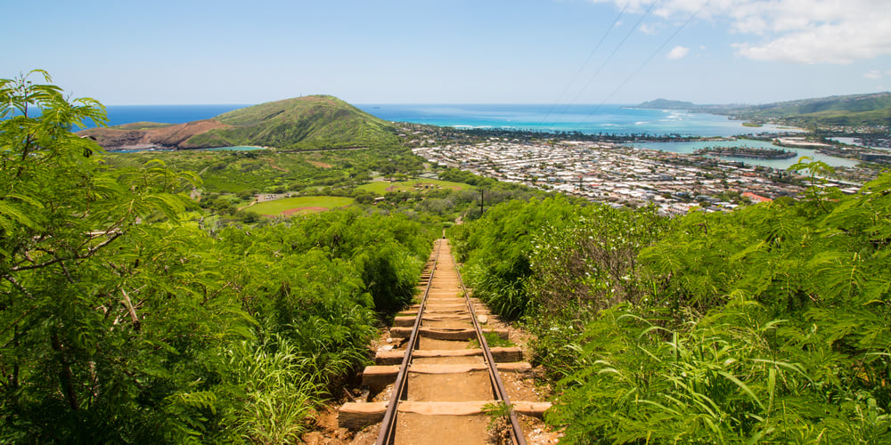 Image of a rickety staircase going up a mountain on Oahu.