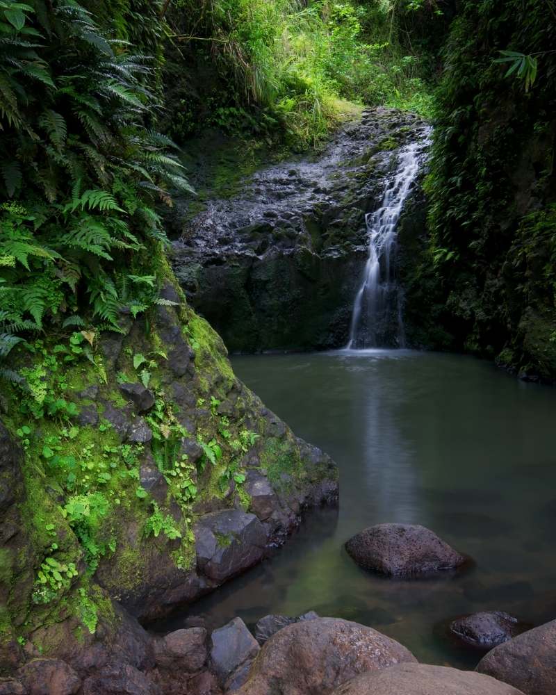 Maunawili Falls on Oahu: Image of a trickling waterfall going into a basin surrounded by rocks.