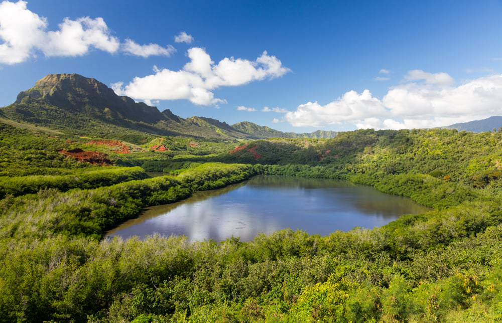 Image of a large reservoir with mountains in the background