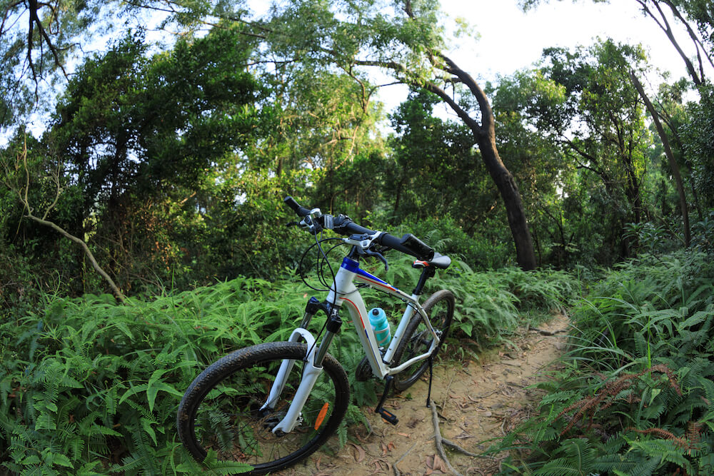 Image of a bike on a dirt trail in the forest.