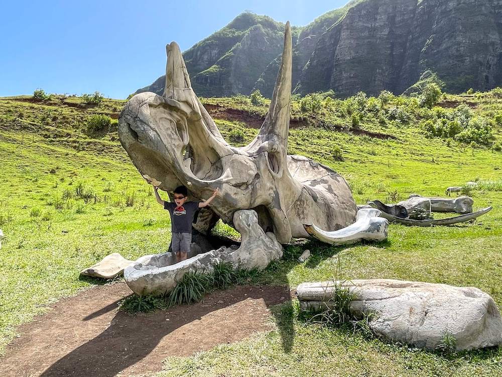 Image of a boy standing in a replica dinosaur skull at Kualoa Ranch on Oahu.