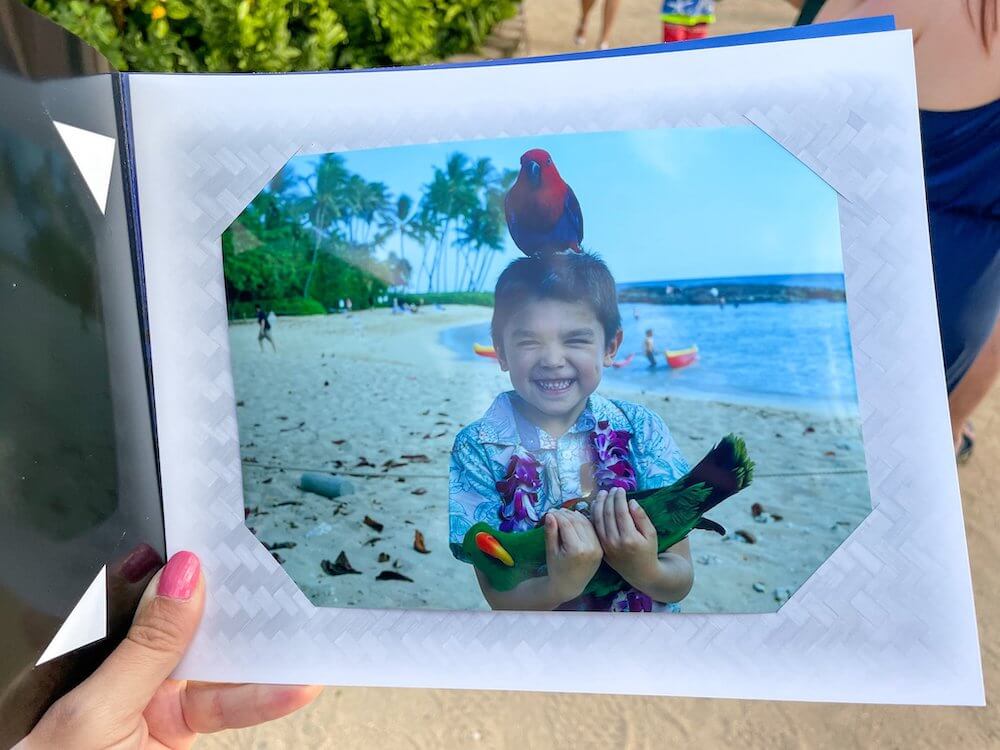 Image of a boy holding a green parrot and having a red parrot standing on his head in Hawaii