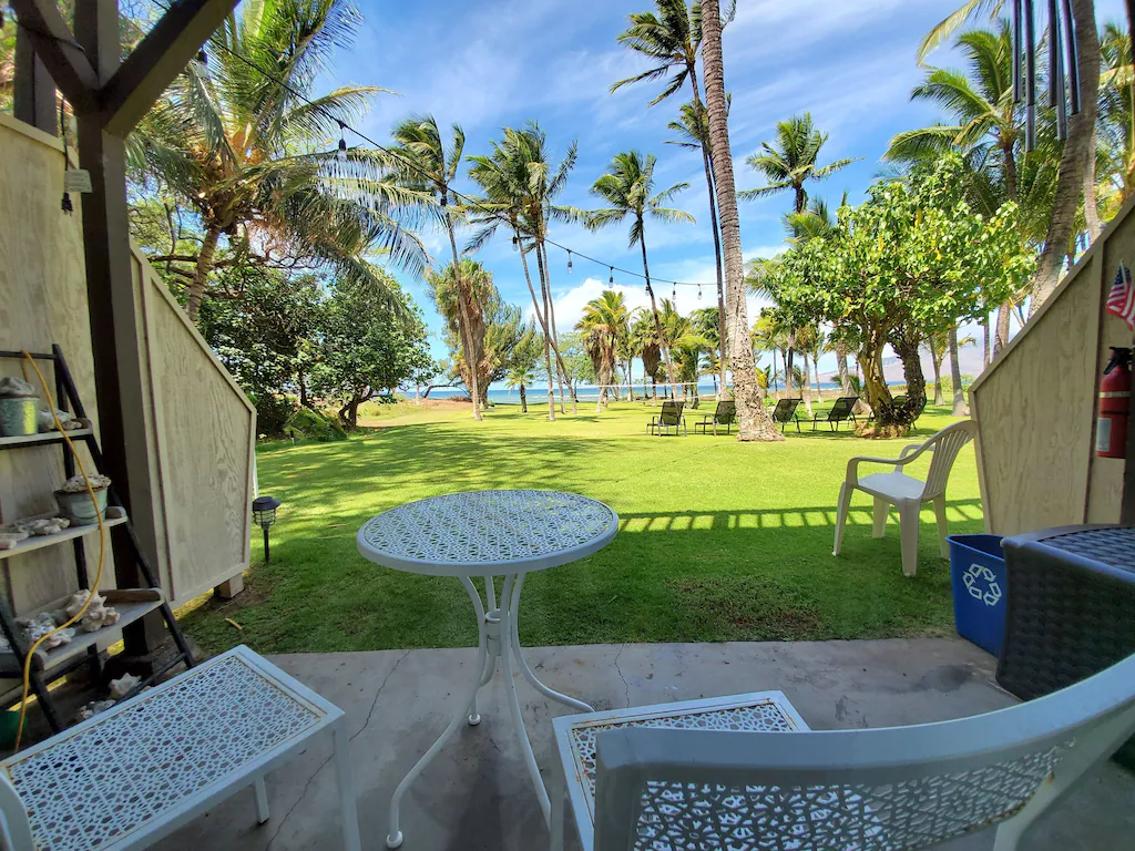 Image of a patio in front of a grassy field surrounded by palm trees