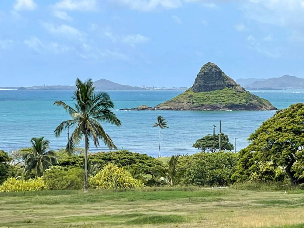 Image of Chinaman's Hat (island) and palm trees at Kualoa Ranch in Hawaii.