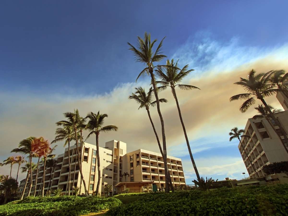 Find out the best Kihei condo rentals on Maui recommended by top Hawaii blog Hawaii Travel with Kids! Image of several condo buildings with palm trees
