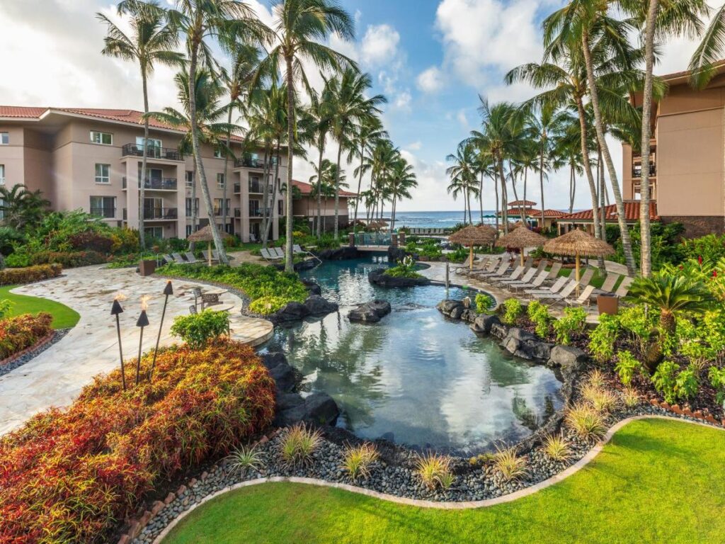 Image of a little pool surrounded by palm trees