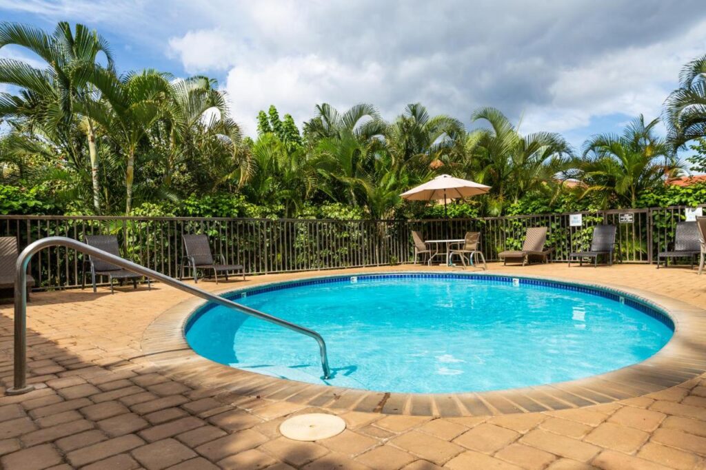 Image of a small round pool surrounded by tropical plants