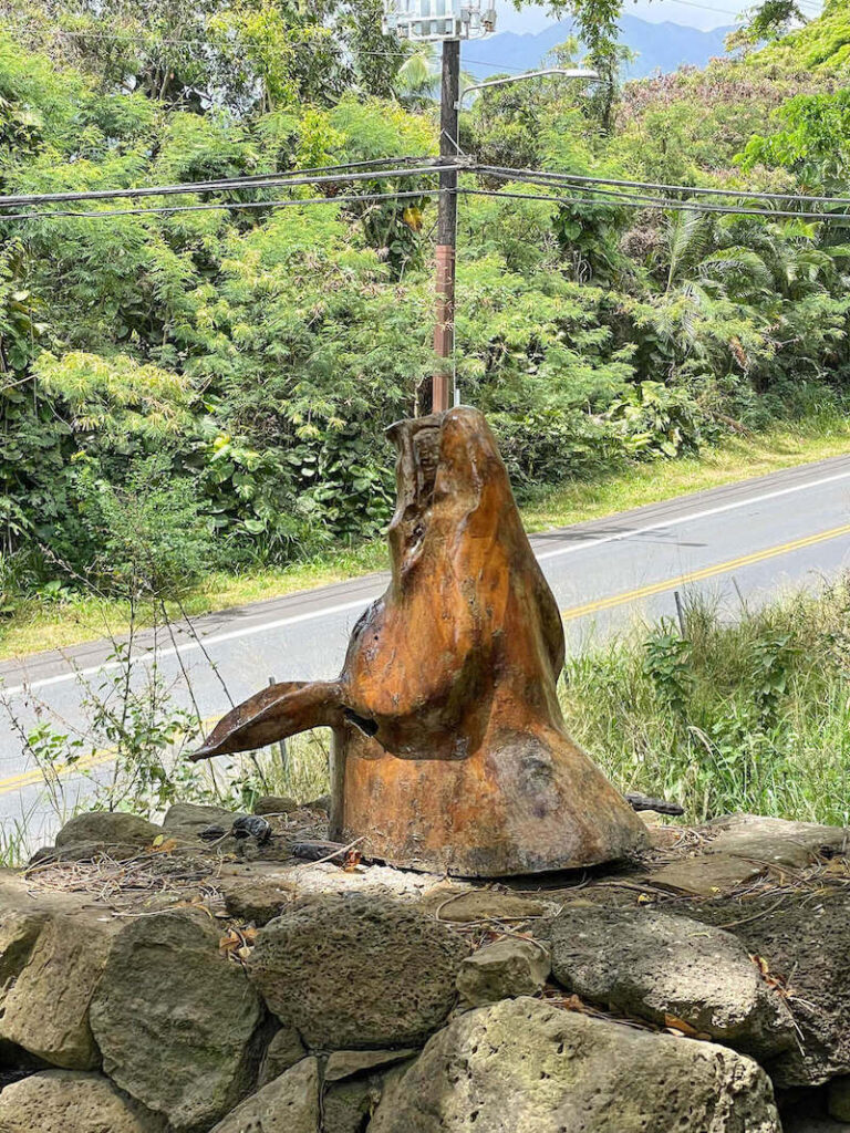 Image of a wooden pig head on a pile of lava rocks.