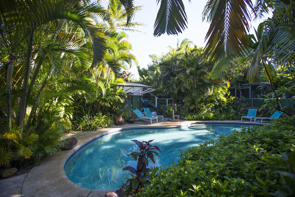 Image of a private pool surrounded by lush greenery