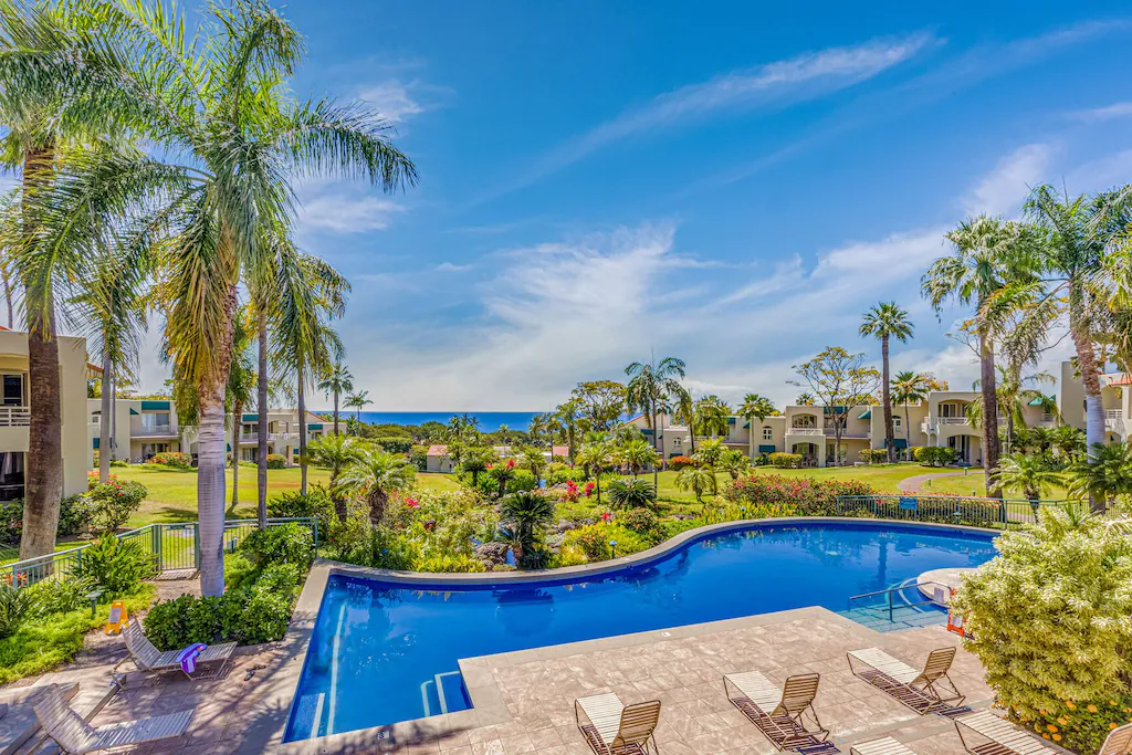 Image of a Maui pool surrounded by palm trees