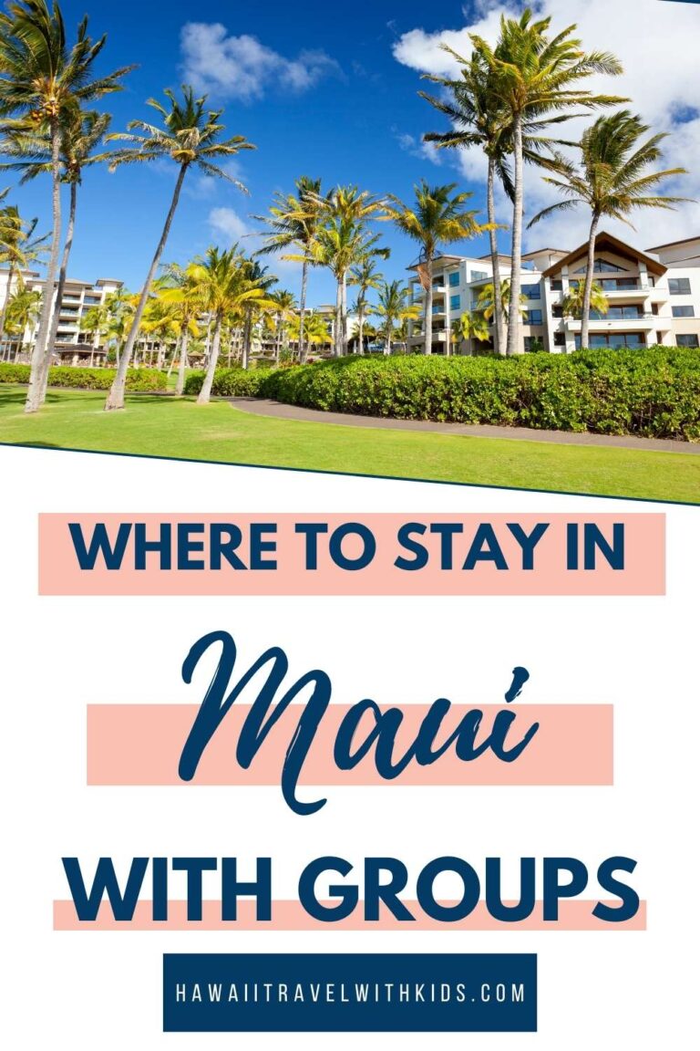 6 Best Maui Vacation Rentals for Large Groups (2023)