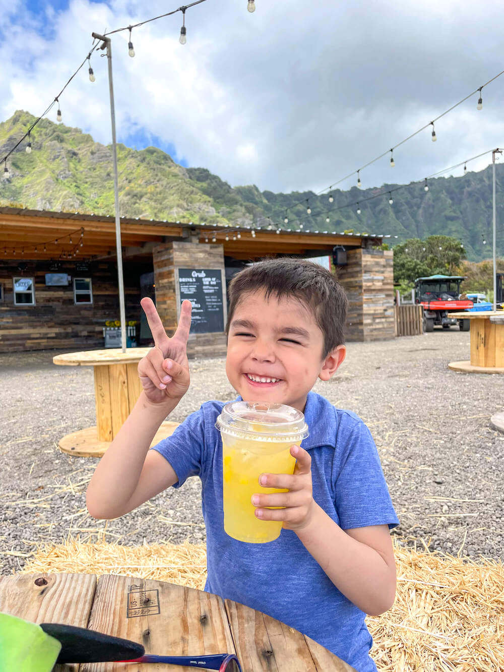 Guide to the Waimanalo Sunflower Farm with Kids (2023)