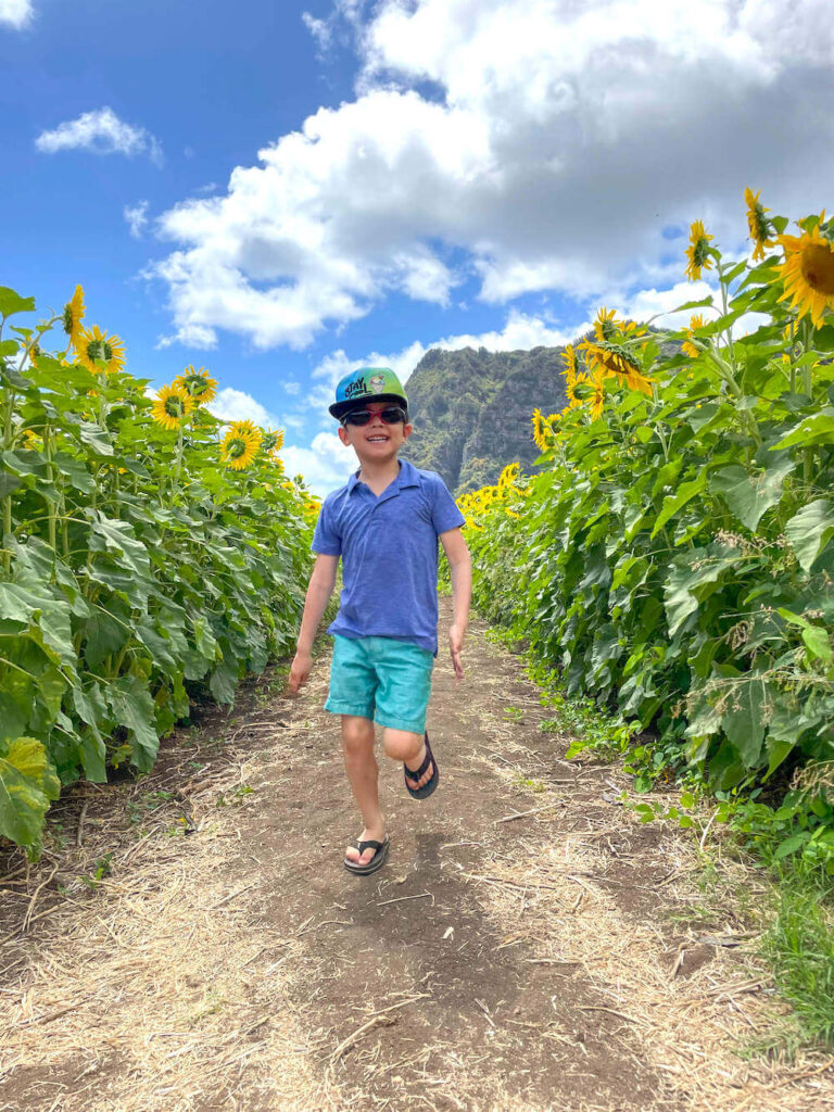 Image of a boy running through a sunflower field in Hawaii