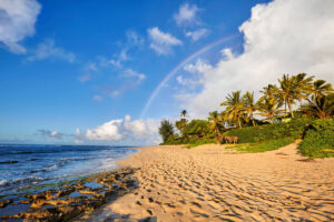 Find out all the ways to get from Waikiki to North Shore Oahu by top Hawaii blog Hawaii Travel with Kids. Image of Sunset Beach in North Shore Oahu with a rainbow in the background