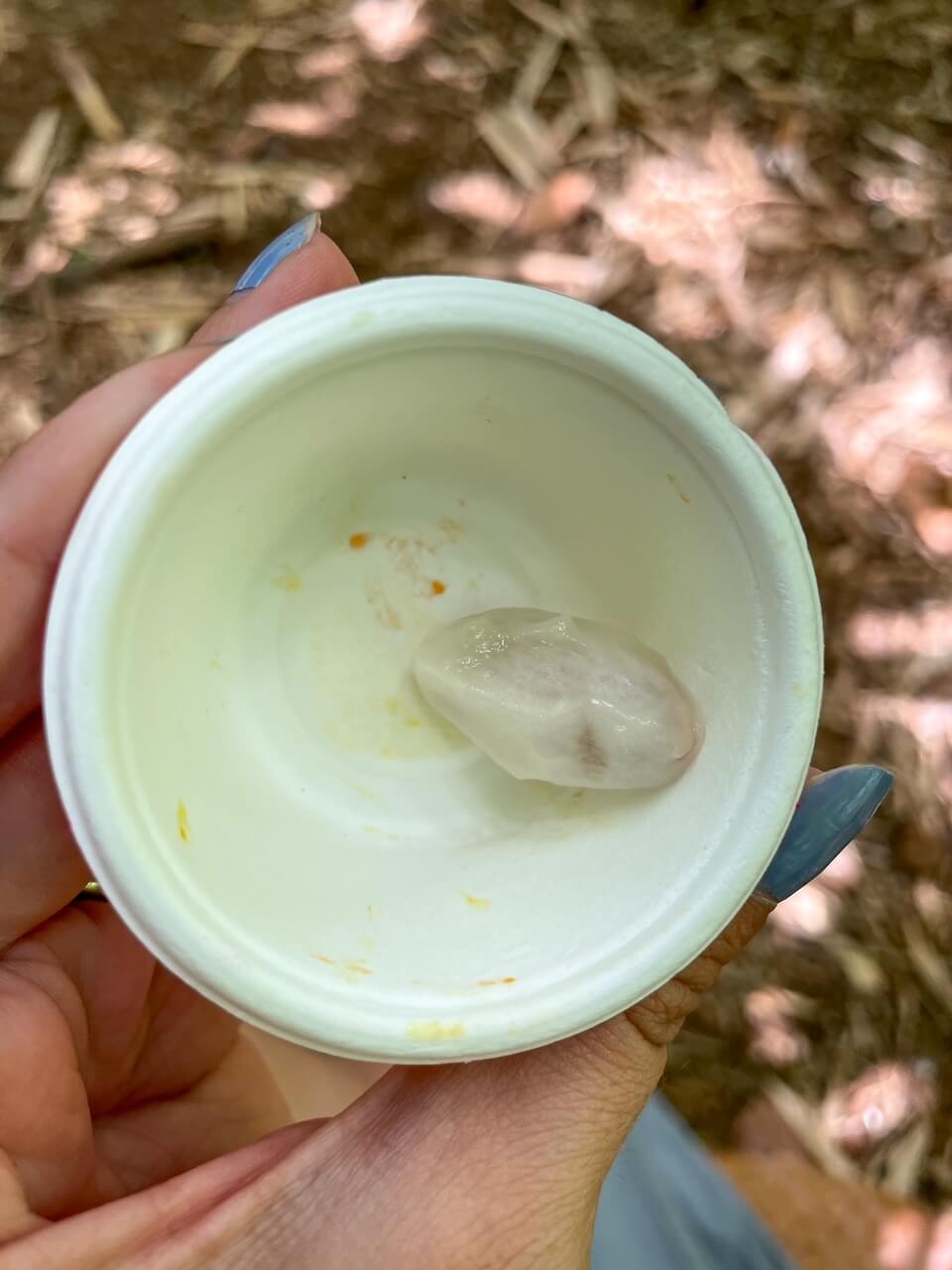 Is the Kauai Chocolate Farm Tour Worth It? (2023)