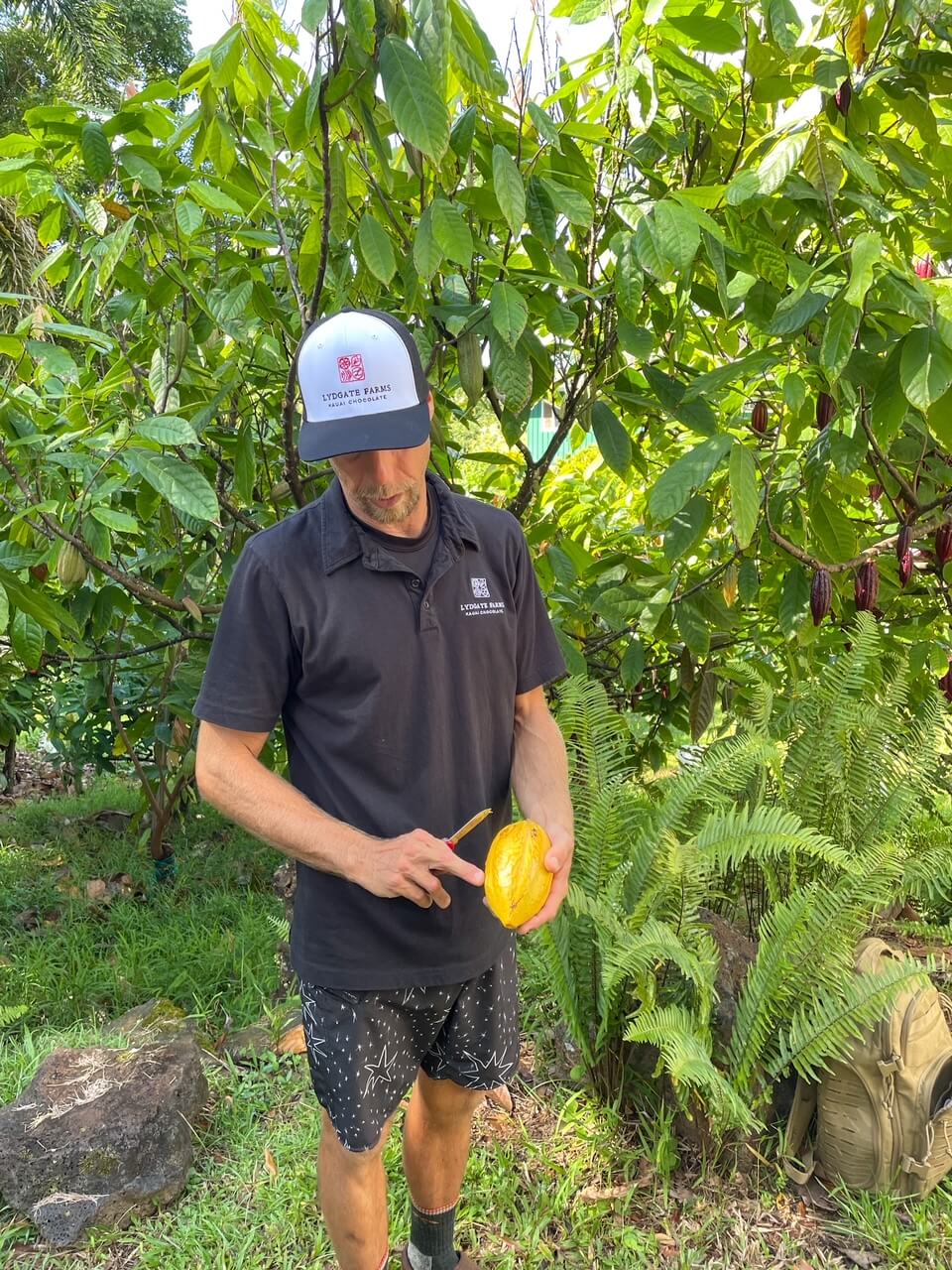 Is the Kauai Chocolate Farm Tour Worth It? (2023)