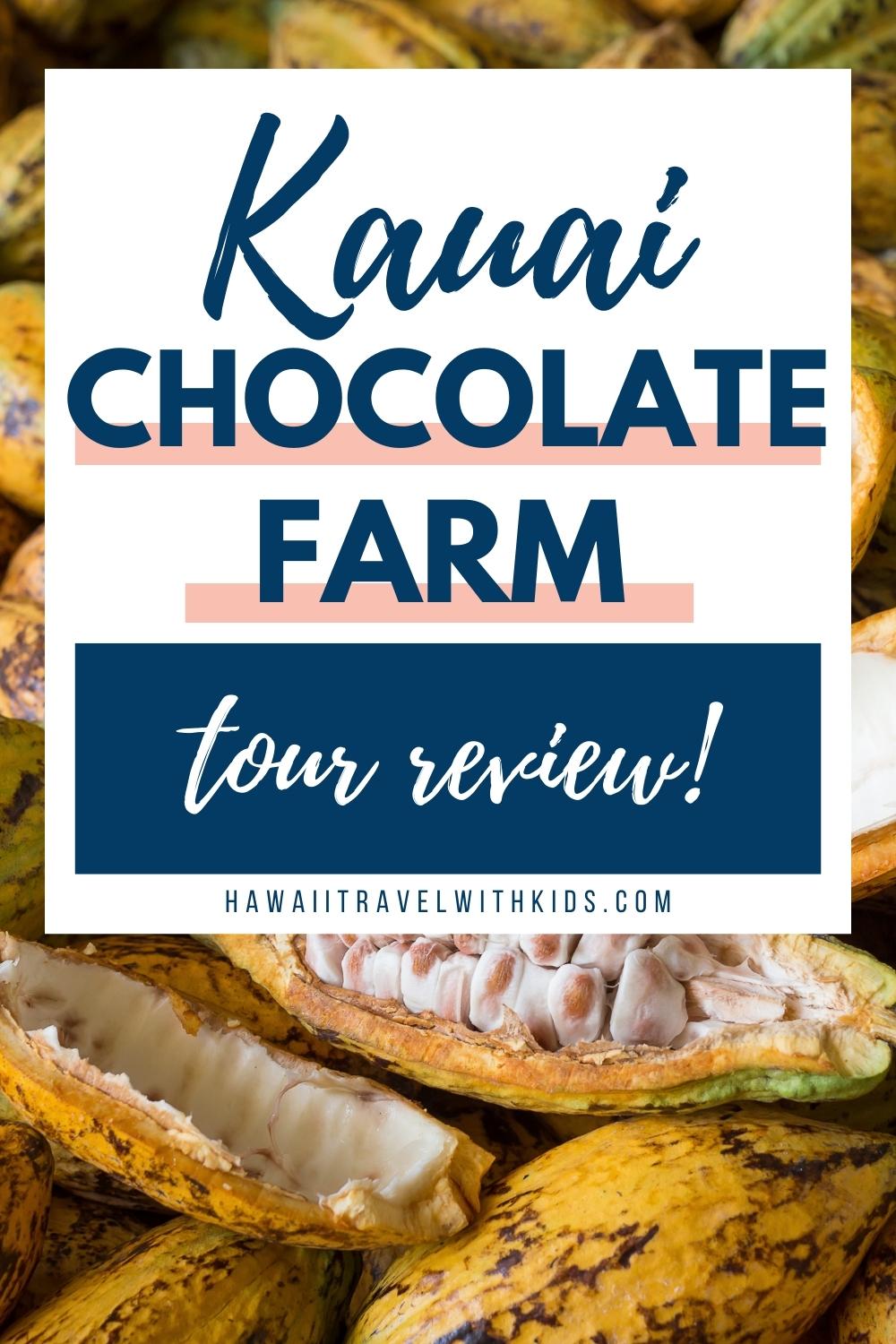 Is the Kauai Chocolate Farm Tour Worth It? (2023)