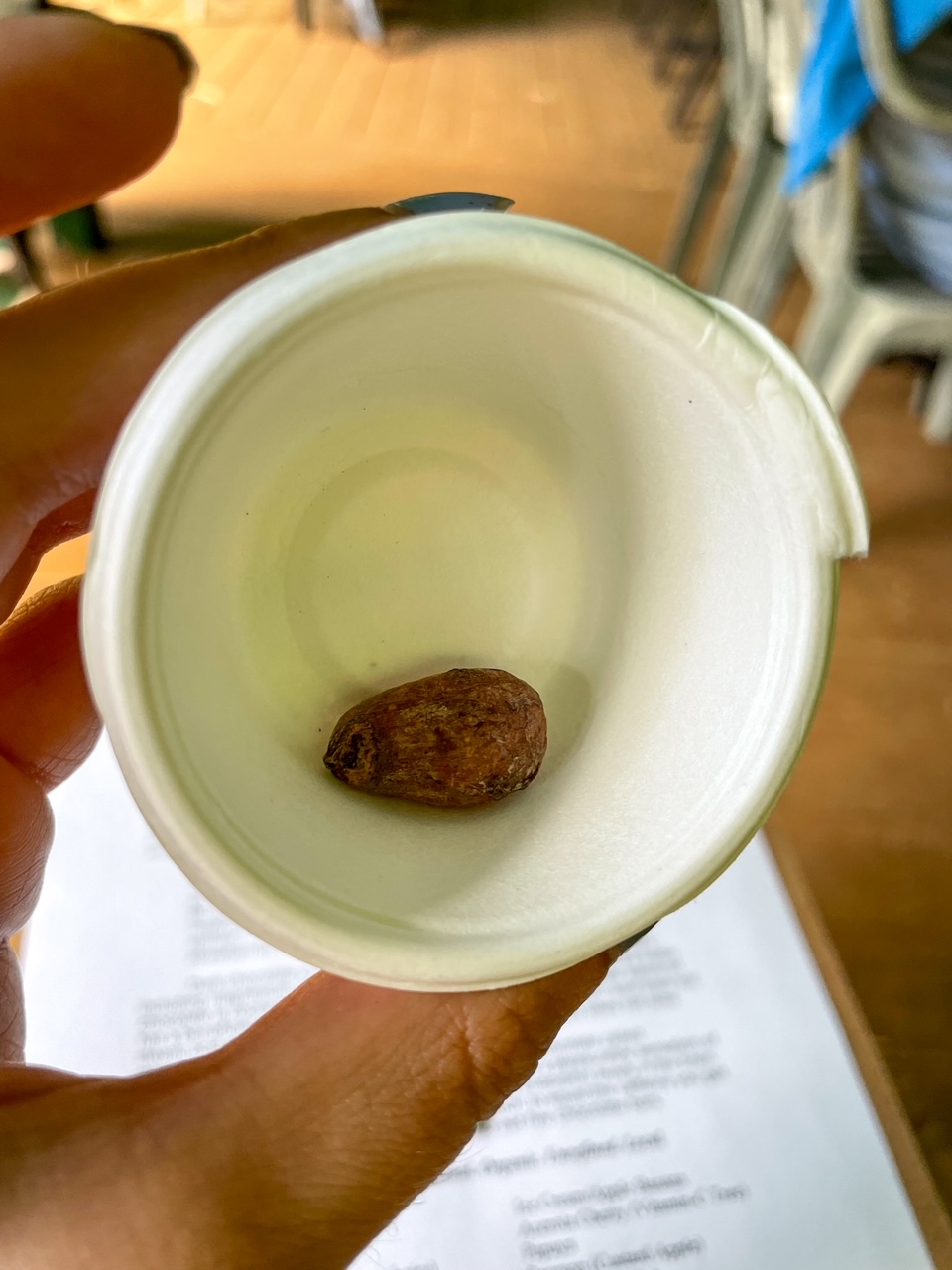 Is the Kauai Chocolate Farm Tour Worth It? (2023)