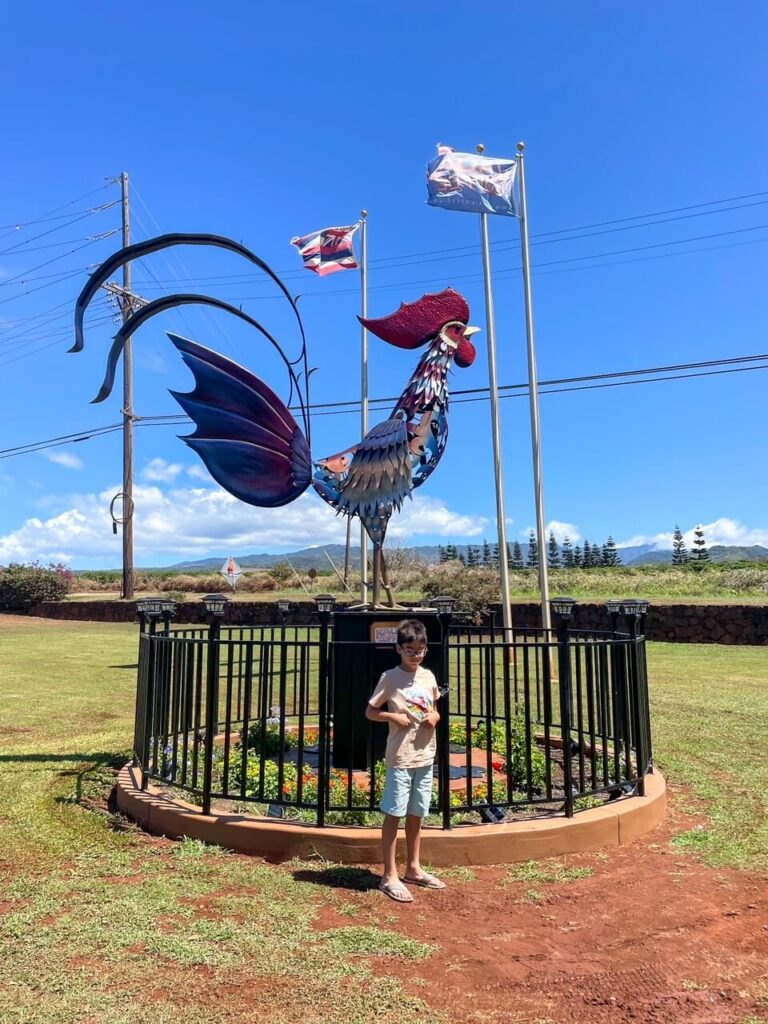 coffee plantation tour in kauai